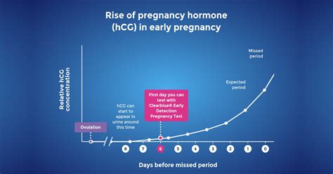 When Can I Take a Pregnancy Test: Calculate When .
